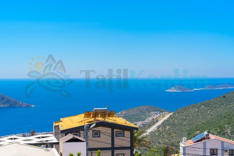 Villa Emir Akbel