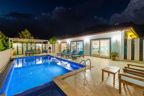 Villa Zeytin Üzümlü