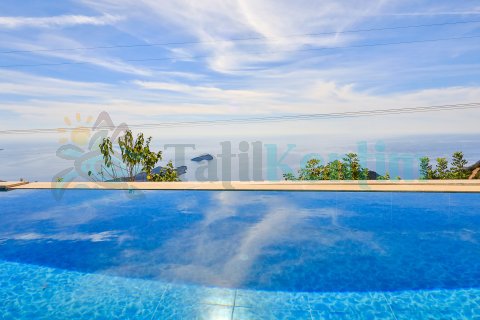 Villa Mulberry Collection 6