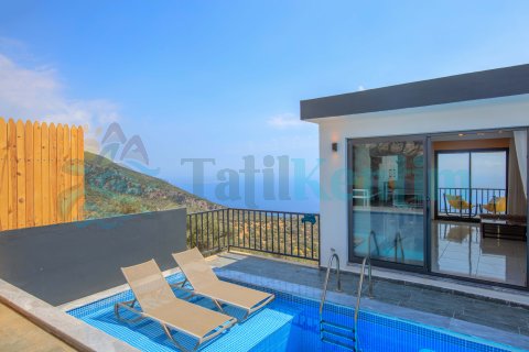 Villa Mulberry Poolsuit 9