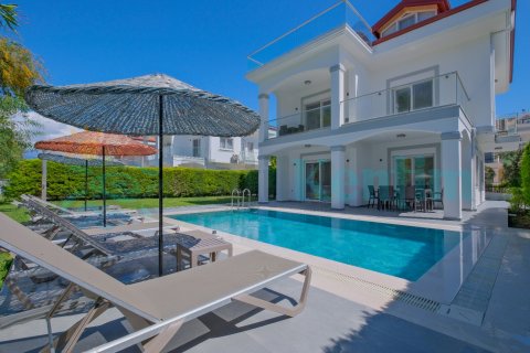 Villa Agila 2