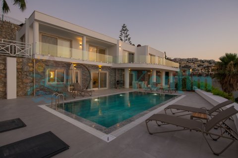 Villa Boss 1