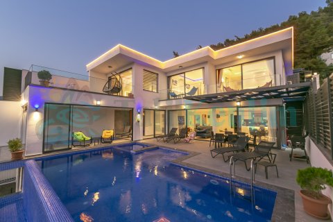 Villa Fantastik Üzümlü