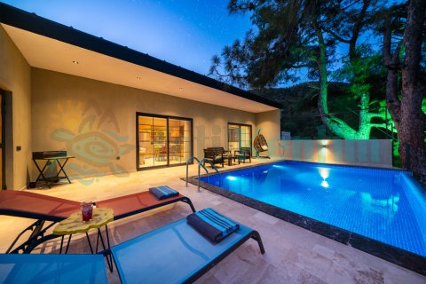 Villa Çam Esintisi