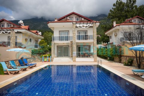 Villa Lemon 2