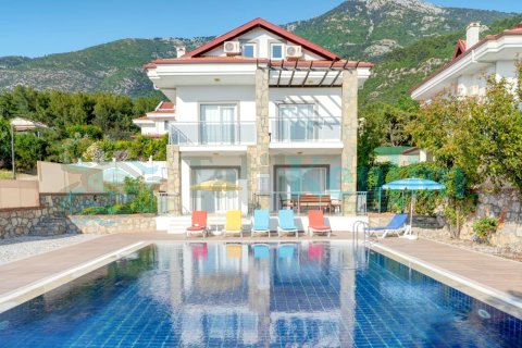 Villa Lemon 3