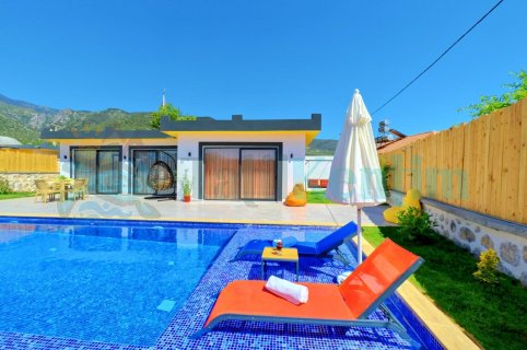 Villa Zeytin Tanesi