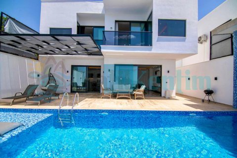 Villa Valiant 2