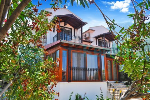 Villa Fiesta 6