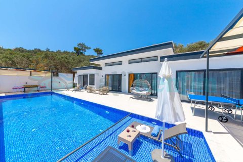 Villa Aysima Yeşilköy